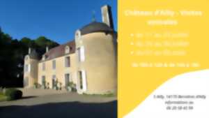 photo Visites estivales du Château d'Ailly