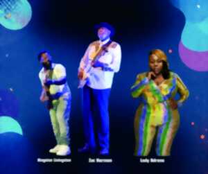 Chicago Blues Festival 2026