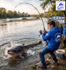 photo Pêche du silure du bord en Loire