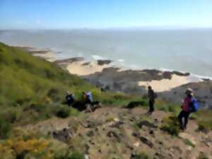 photo Expérience de Destination : la Baie du Mont Saint-Michel entre Terre et Mer