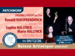 Concert de Bourg Arts et Vins : l'Ensemble KHEOPS avec clarinette, violoncelle et harpe