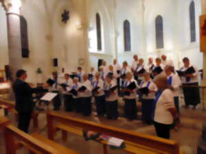 photo concert
