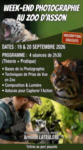Cours gratuit de photographie animalière