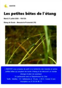 Les Petites Bêtes de l'étang