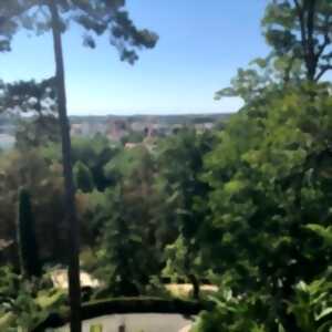 Visite guidée 