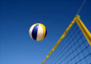 Sport en familles : Beach Volley