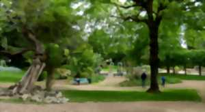 photo SAUVÉES PAR UN JARDIN ! LES ARÈNES DE PÉRIGUEUX