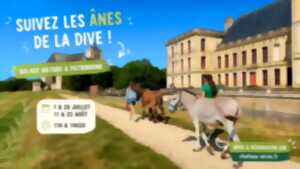 Balade dans les pas des ânes de la Dive ! au château d'Oiron