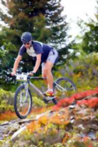 Formule Sport : VTT