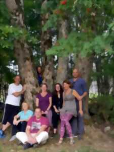 Atelier entre méditation et sylvothérapie