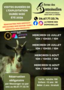 Visite guidée exploitation familiale : La ferme des Domoiselles