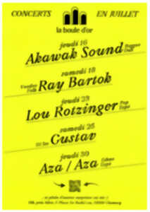 Concert à la Boule d'Or : Lou Rotzinger