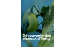 photo À la découverte des oiseaux