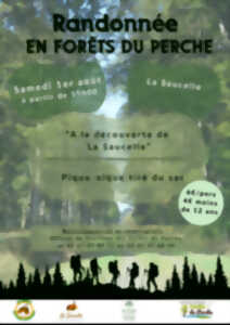 Randonnée en Forêts du Perche