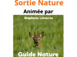 Sortie nature