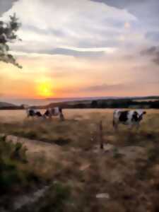 Visite libre de la Ferme des Monts