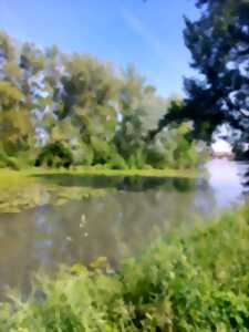 BALADE SENSORIELLE