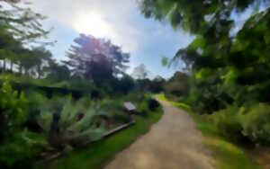 Visite guidée du Jardin botanique