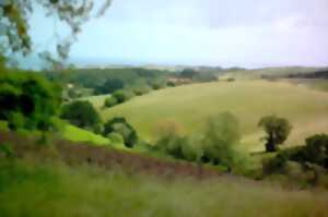 photo Paysage, risques littoraux et adaptation aux changements climatiques à Urrugne