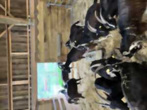 photo Visite de la ferme de la Bonnellerie