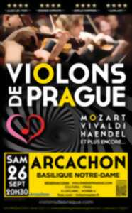 Violons de Prague