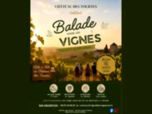 Balade dans les vignes du château des Tourtes