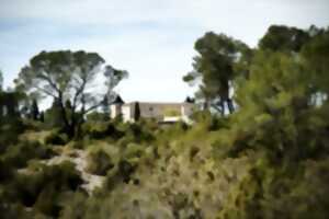 MYSTÈRES DE LA GARRIGUE