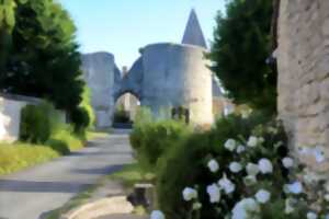 Navette touristique entre Pithiviers et Yèvre-le-Châtel
