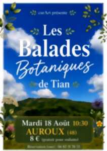BALADE BOTANIQUE CONTÉE