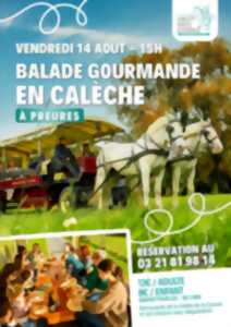 Balade en calèche - Vendredi 14 août