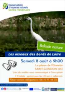Balade nature : Les oiseaux des bords de Loire