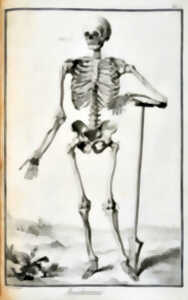 ARPL 2026 - Visite guidée des planches Anatomie de l'Encyclopédie