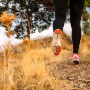 Trail semi-nocturne en relais