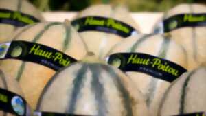 Foire aux Melons