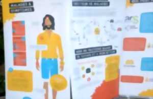 Exposition - Le moustique tigre - Bibliothèque Francophone Multimédia Limoges