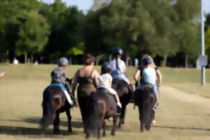 Bougez tout l'été- Équitation - Parc des Sports Hautepierre