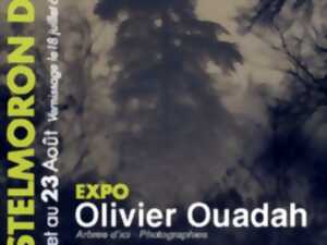 Expo olivier ouadah