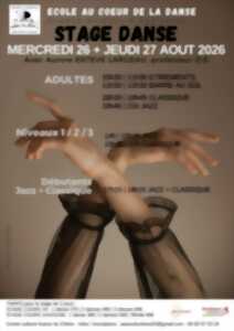 Stage de Danse