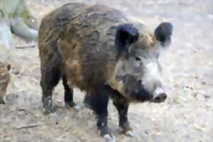 Repas de chasse