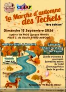 La marche d'automne des teckels