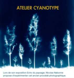 ATELIER CYANOTYPE