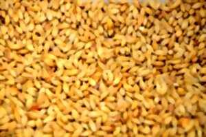 Du grain au pain