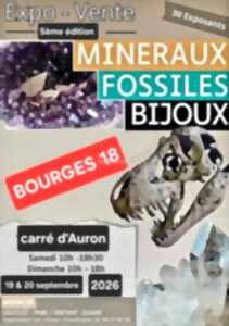 photo 5ème Salon des Minéraux