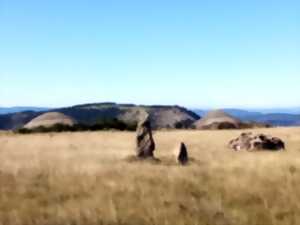 UN ÉTÉ AVEC LE PARC : MENHIRS