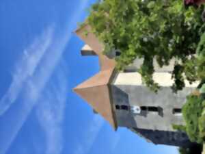 photo Les visites d'Anthony : le château de Rochefort