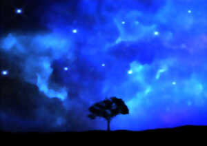 Des Nuits des étoiles
