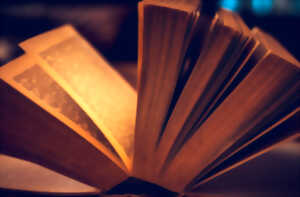 Le cantique des cantiques