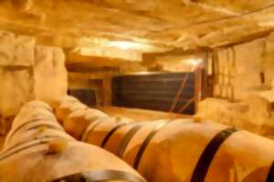 photo Visites estivales du Château de Bonhoste
