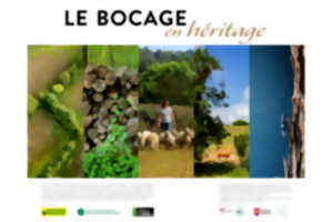 Exposition photos : 