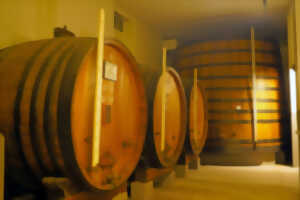 photo Fernet-Branca, les secrets des caves - Journées Européennes du Patrimoine